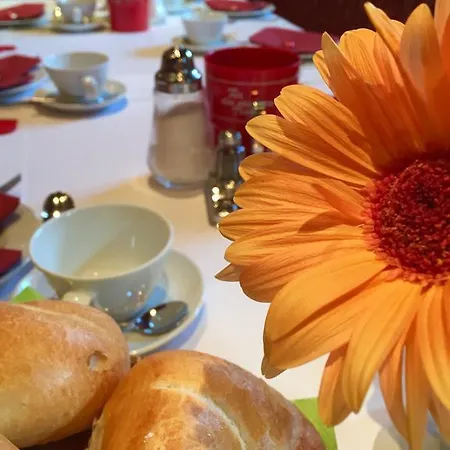 Hotel Garni Schneider Lutago